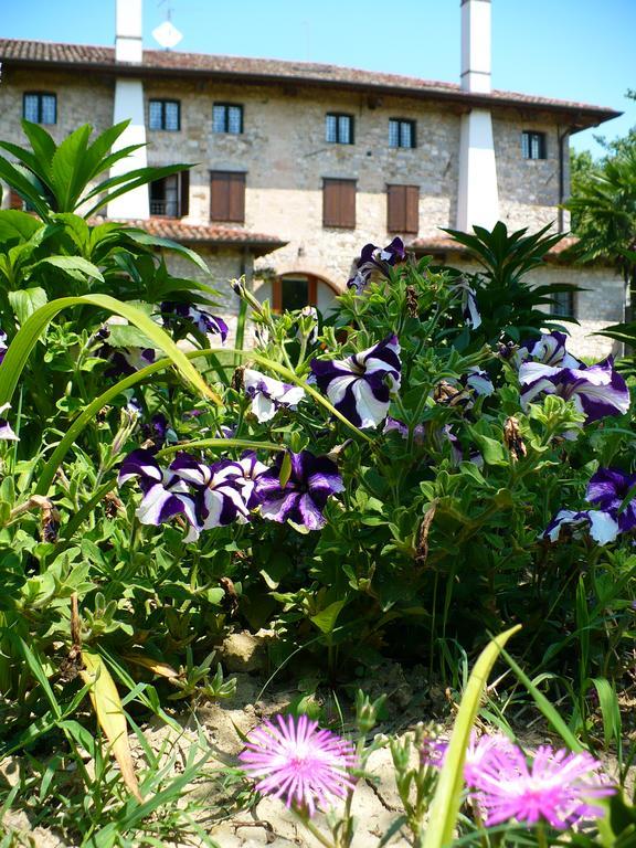 Villa Asiola Villa Vicentina ภายนอก รูปภาพ